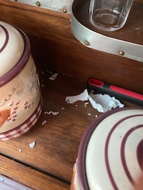 Mice droppings on kitchen sideboard