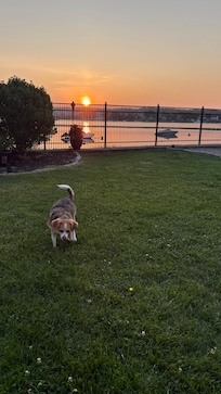 Dog-friendly yard.