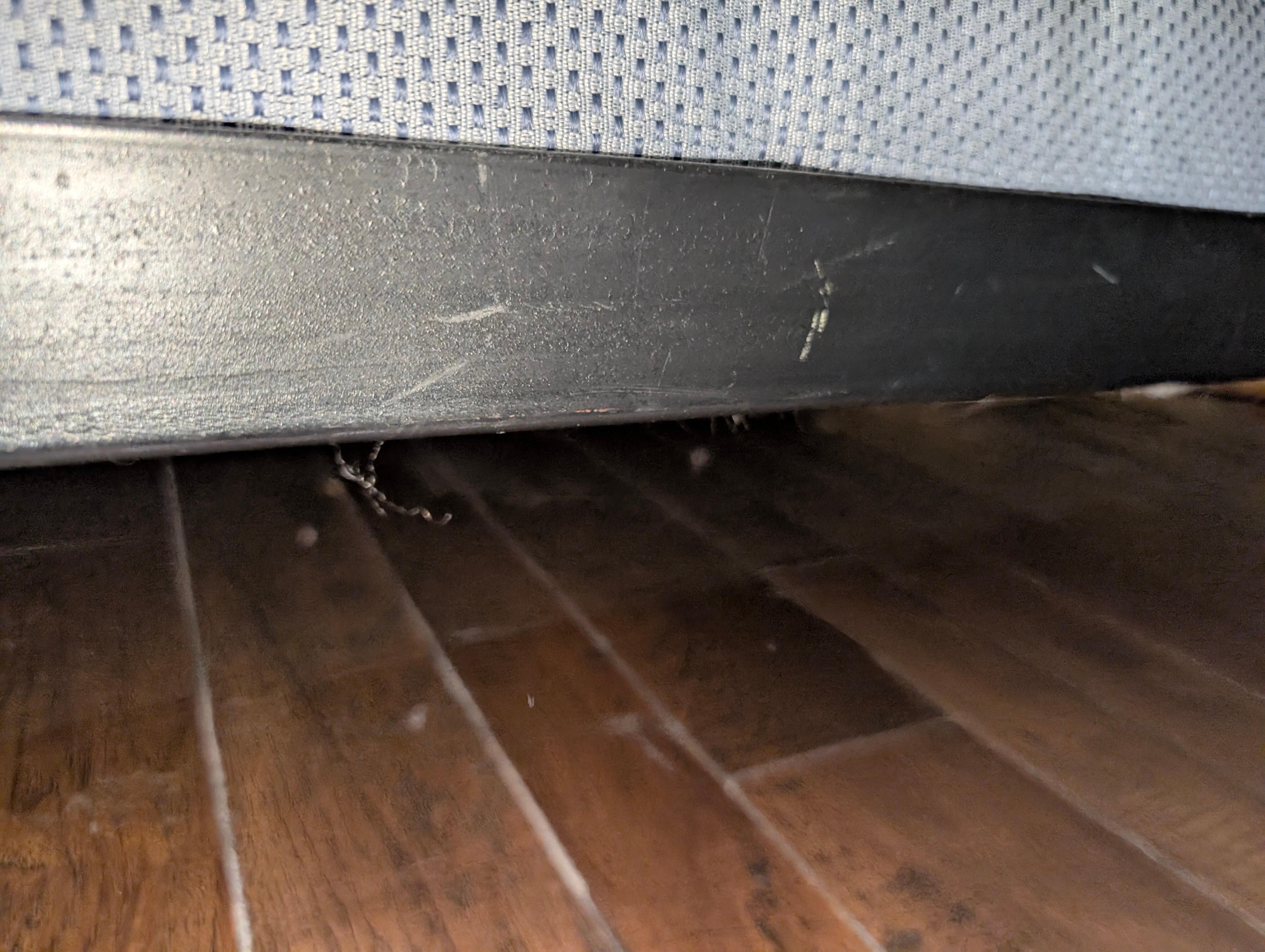 Dust bunnies under bed