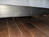 Dust bunnies under bed