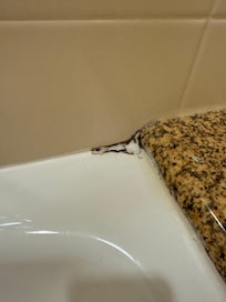 mold