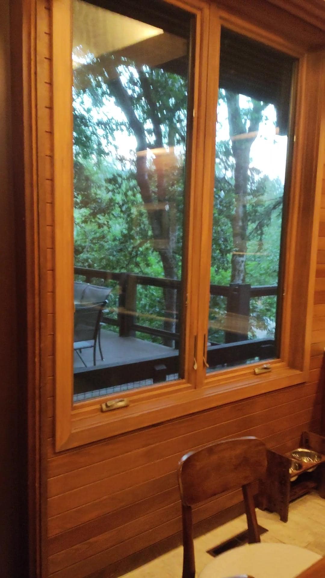 View out the dining room window
