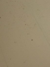 Floor of bathtub