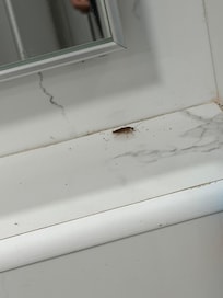 I also found a cockroach in the bathroom