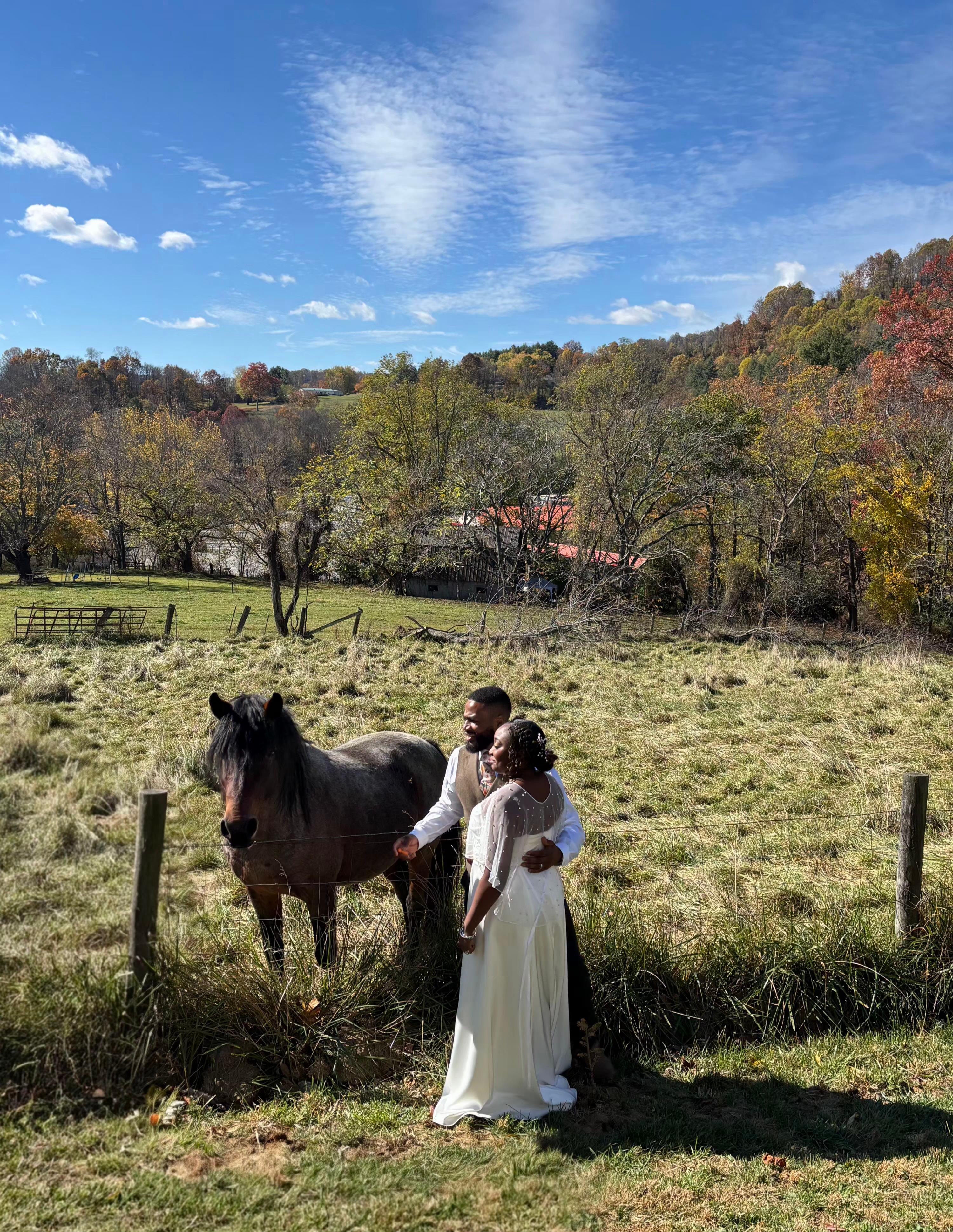 Took photos with horse next door