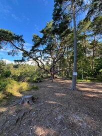 Feuerstein Felder
