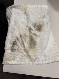 Dropped a small amount of water on the floor, when it was mopped up, this is the dirt from a small bit of floor.