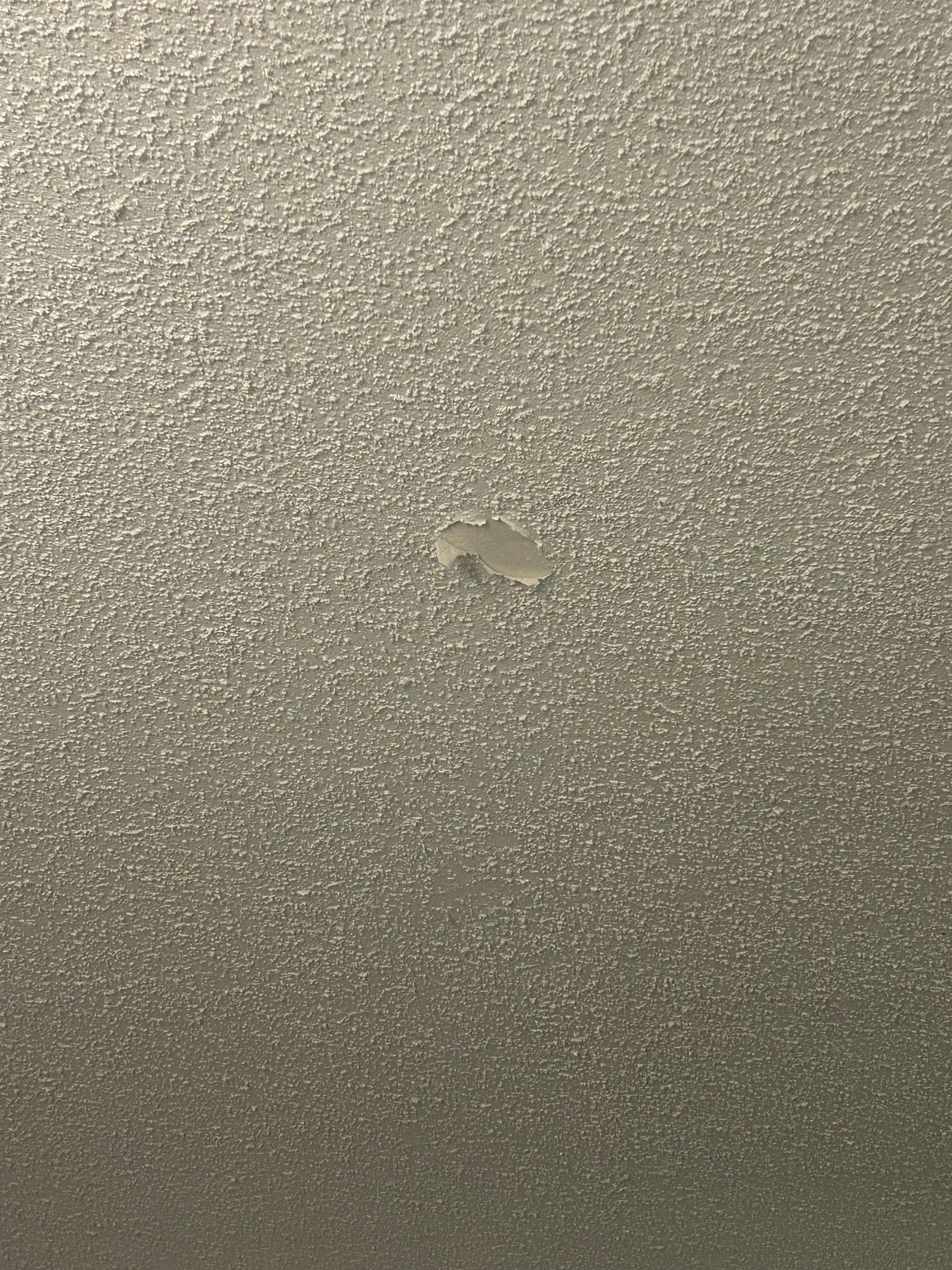 Ceiling paint is peeling
