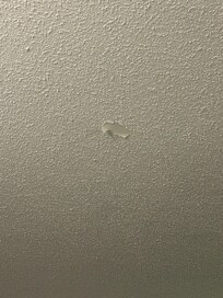 Ceiling paint is peeling