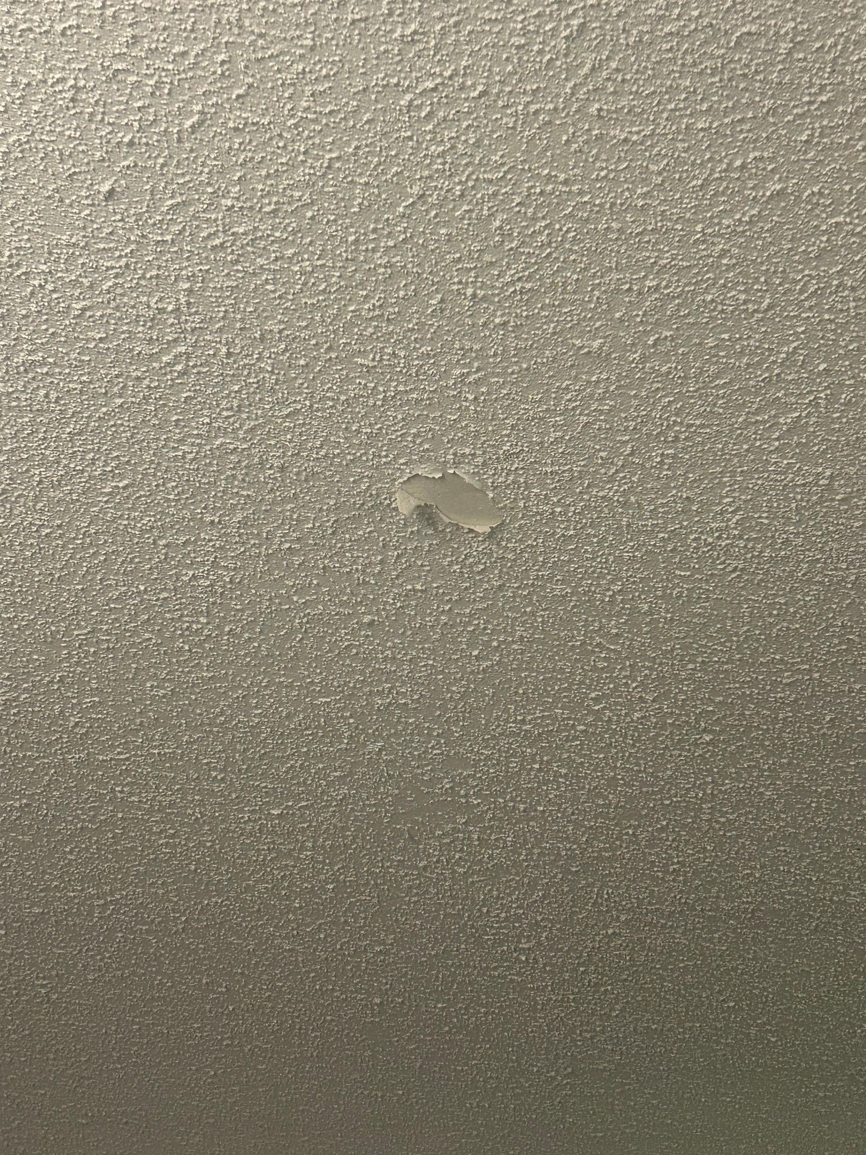 Ceiling paint is peeling