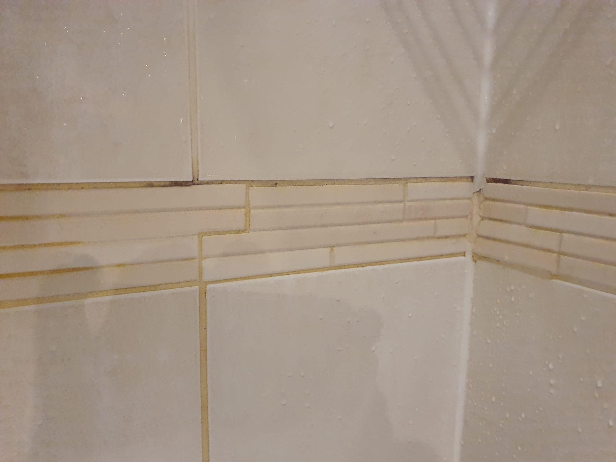 visible black mould in ensuite shower