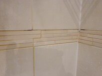 visible black mould in ensuite shower