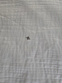Bedspread