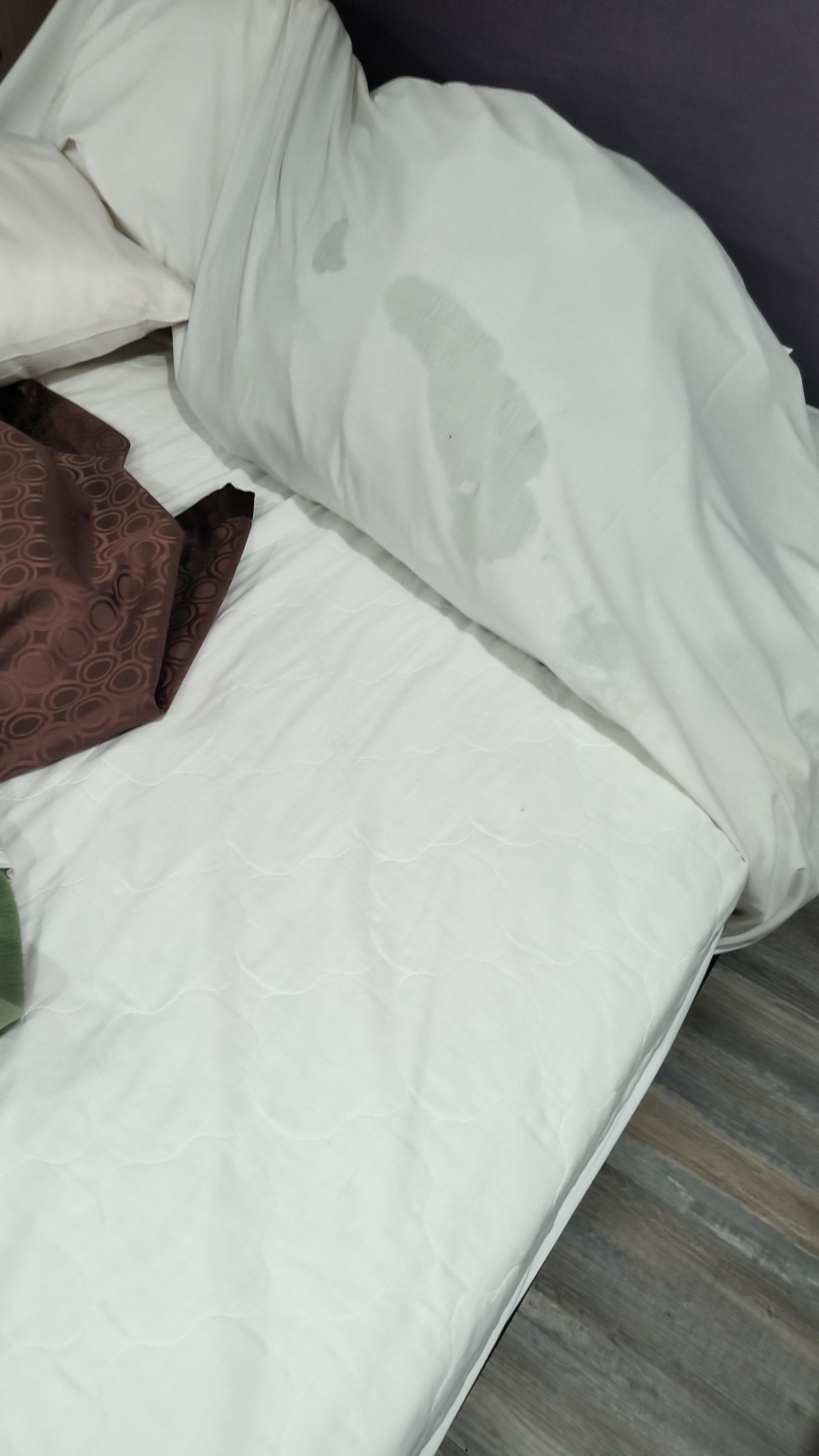 Pubic hair semen and what appears to be body lice on the bed.