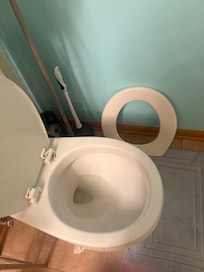 Broken toilet seat