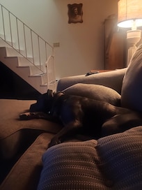 Lazy time after playing hard