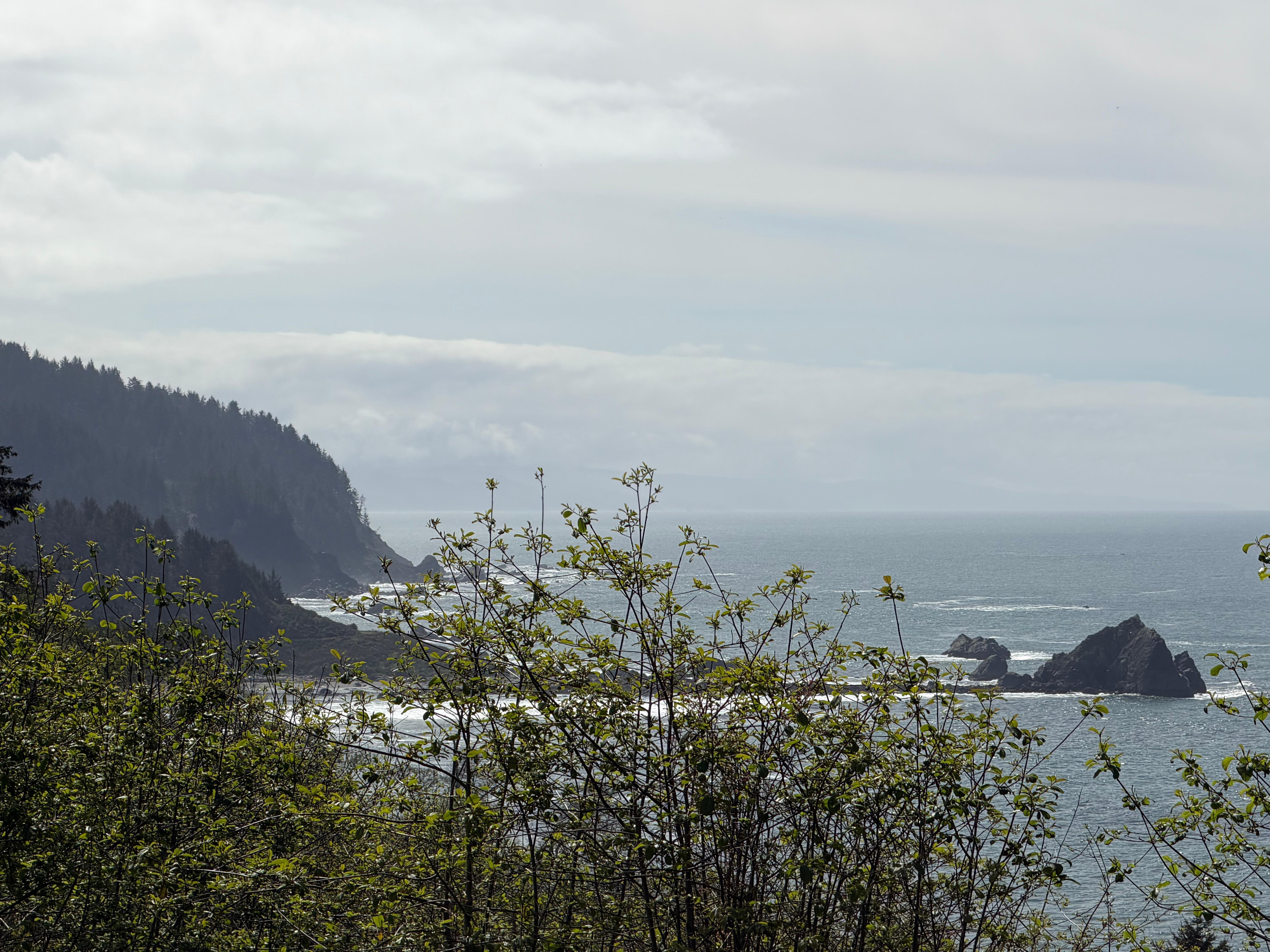 Close up through the other window. 