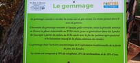 Procédé le gemmage