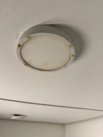 Ceiling fan