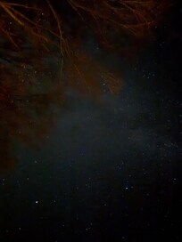 Amazing stars
