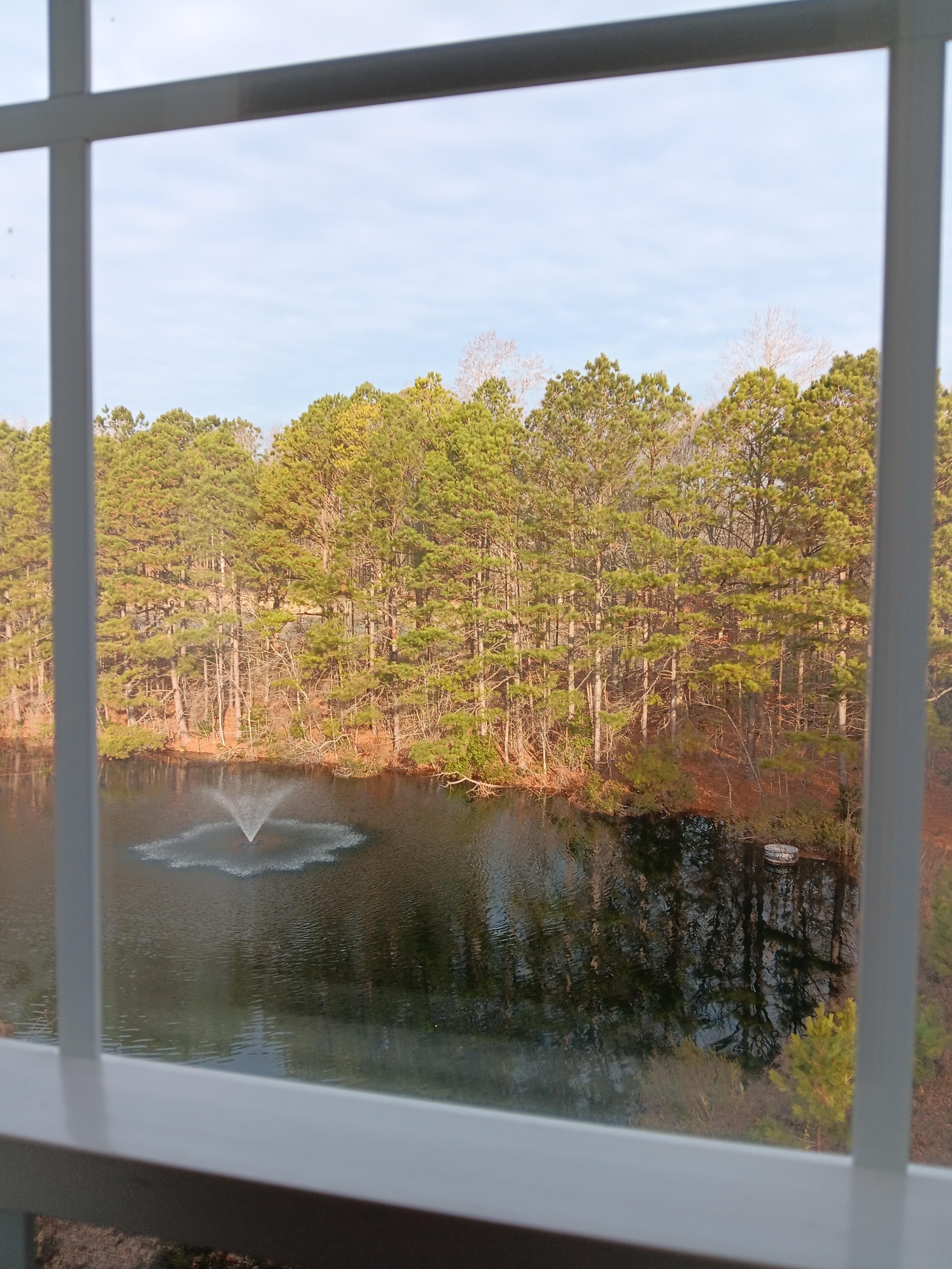 Nice view out of bedroom