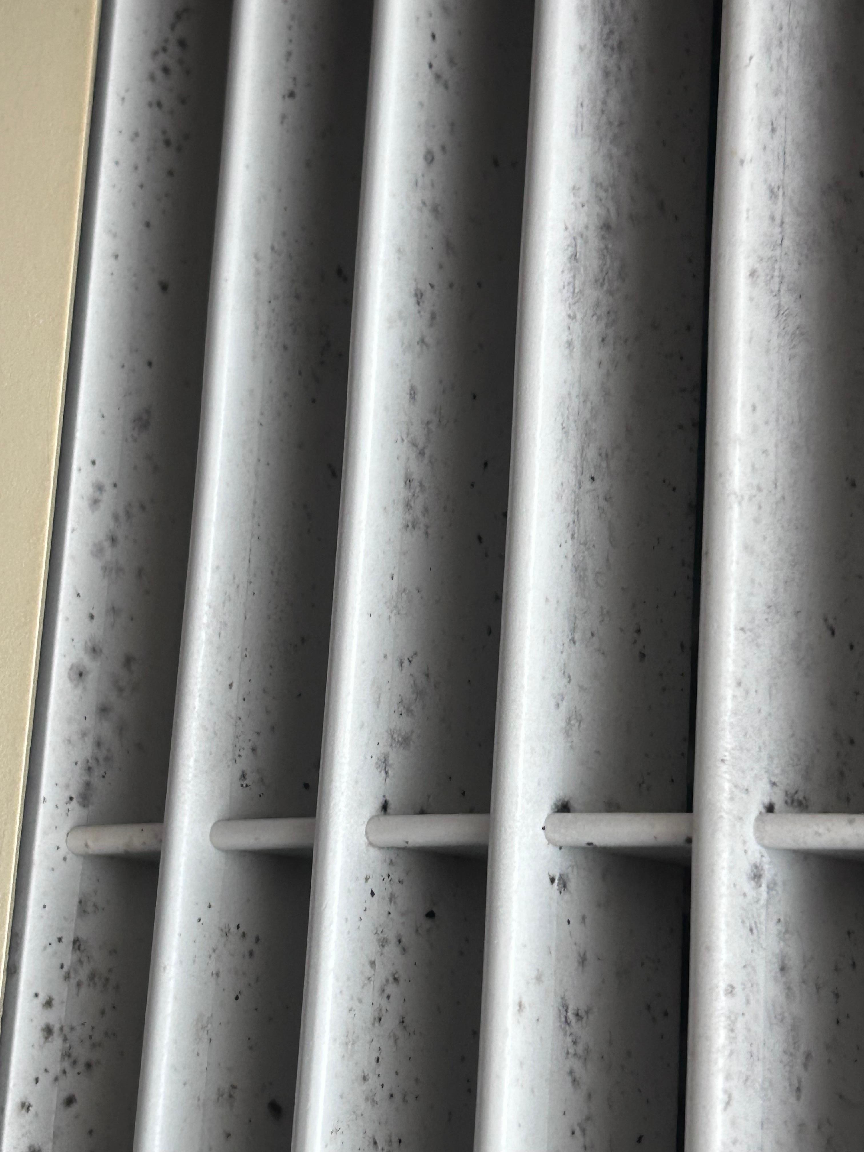 We kept sneezing and realized why .