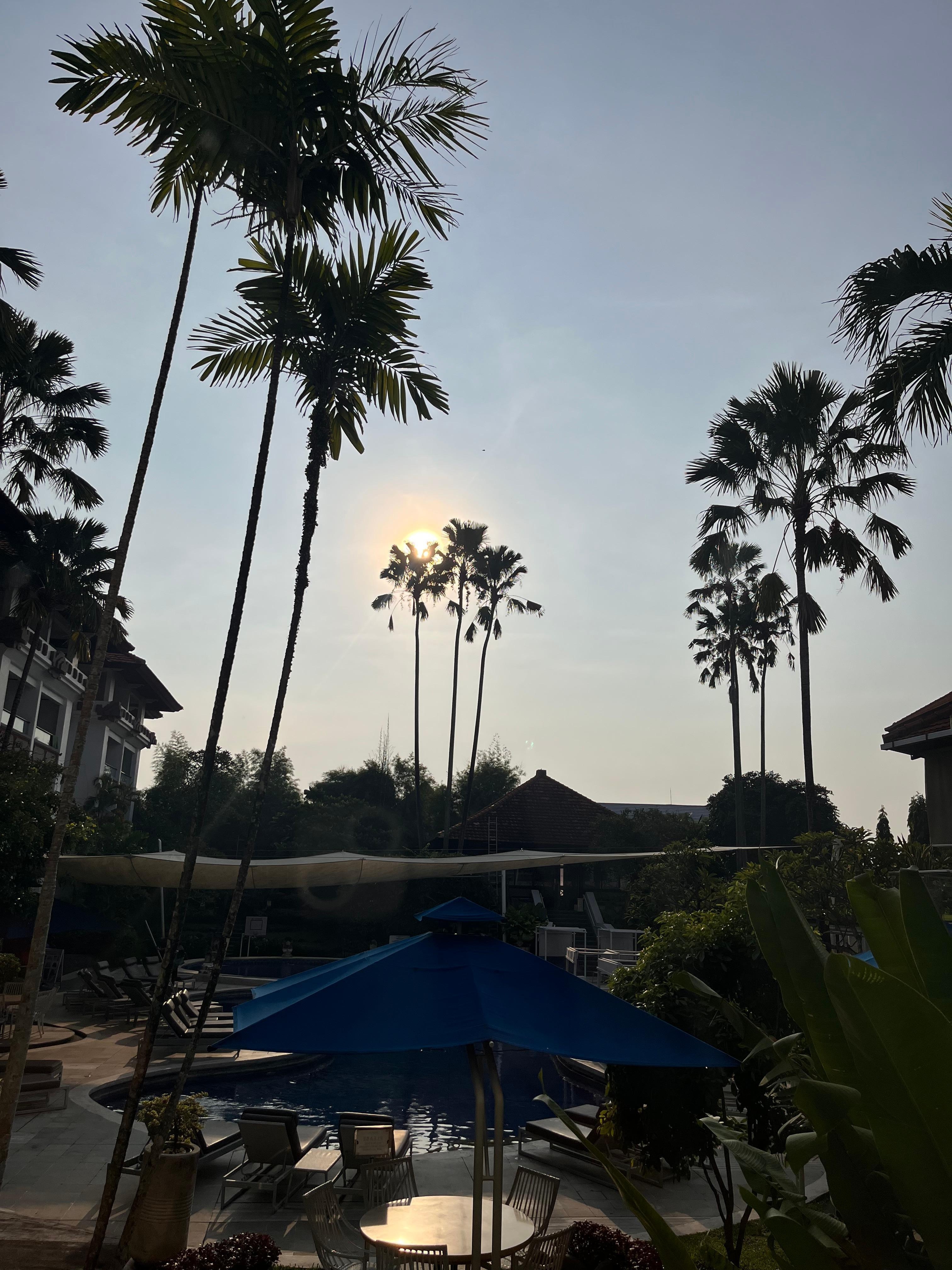 サヌールの朝日が見えるロケーションです