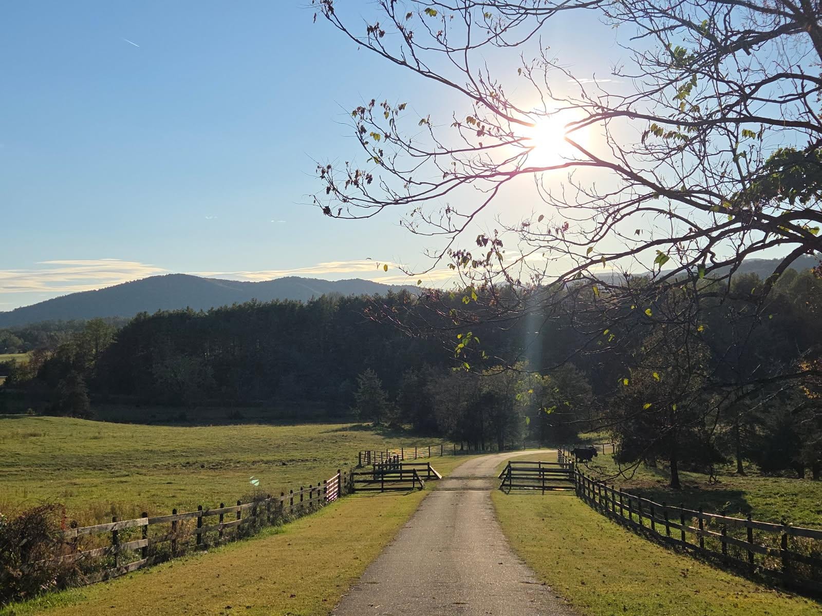 Sunset down driveway