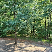 The view from the back porch