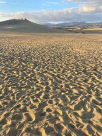 Fee shuttle bus takes you to the beach but it’s also walkable (20 minutes)
