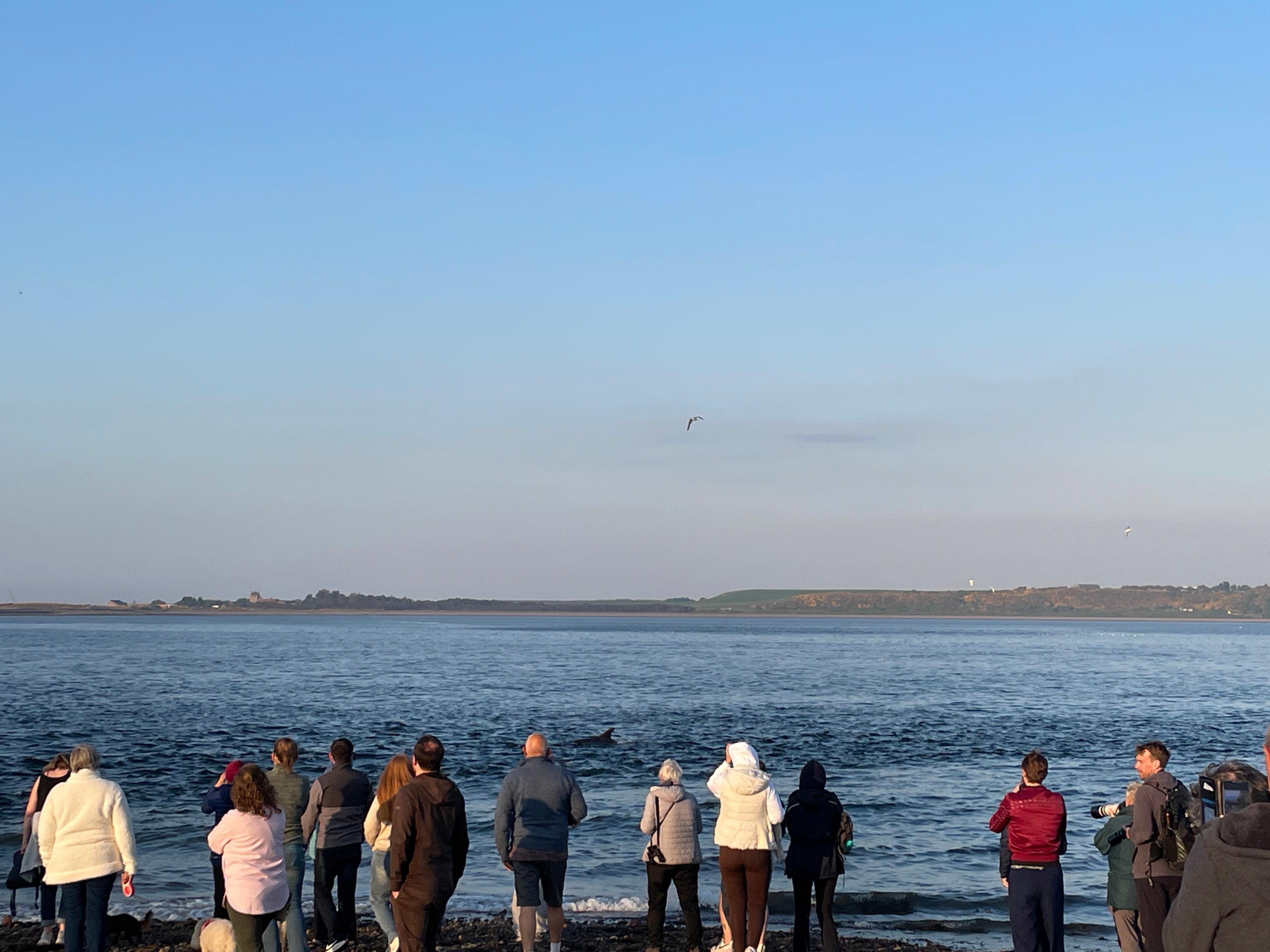 Chanonry Point 