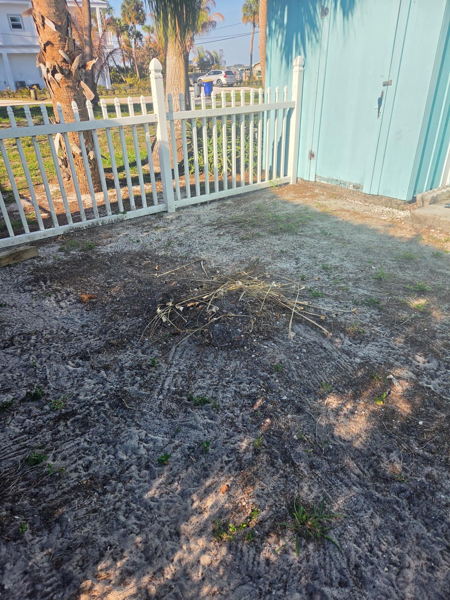 The dirt/debris that surrounded the yard and pool.