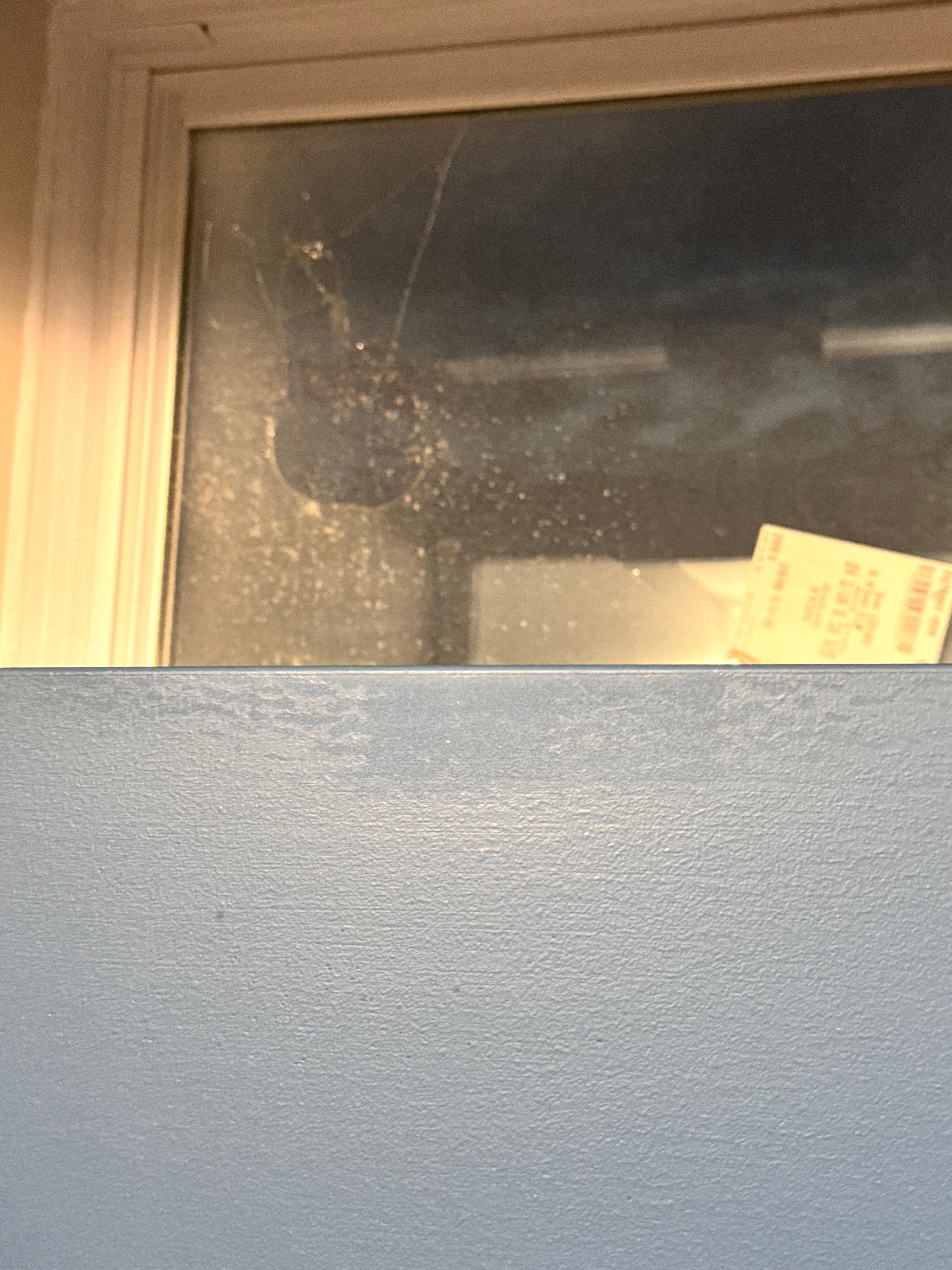 Room window that is in basement.