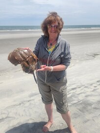 A beach find