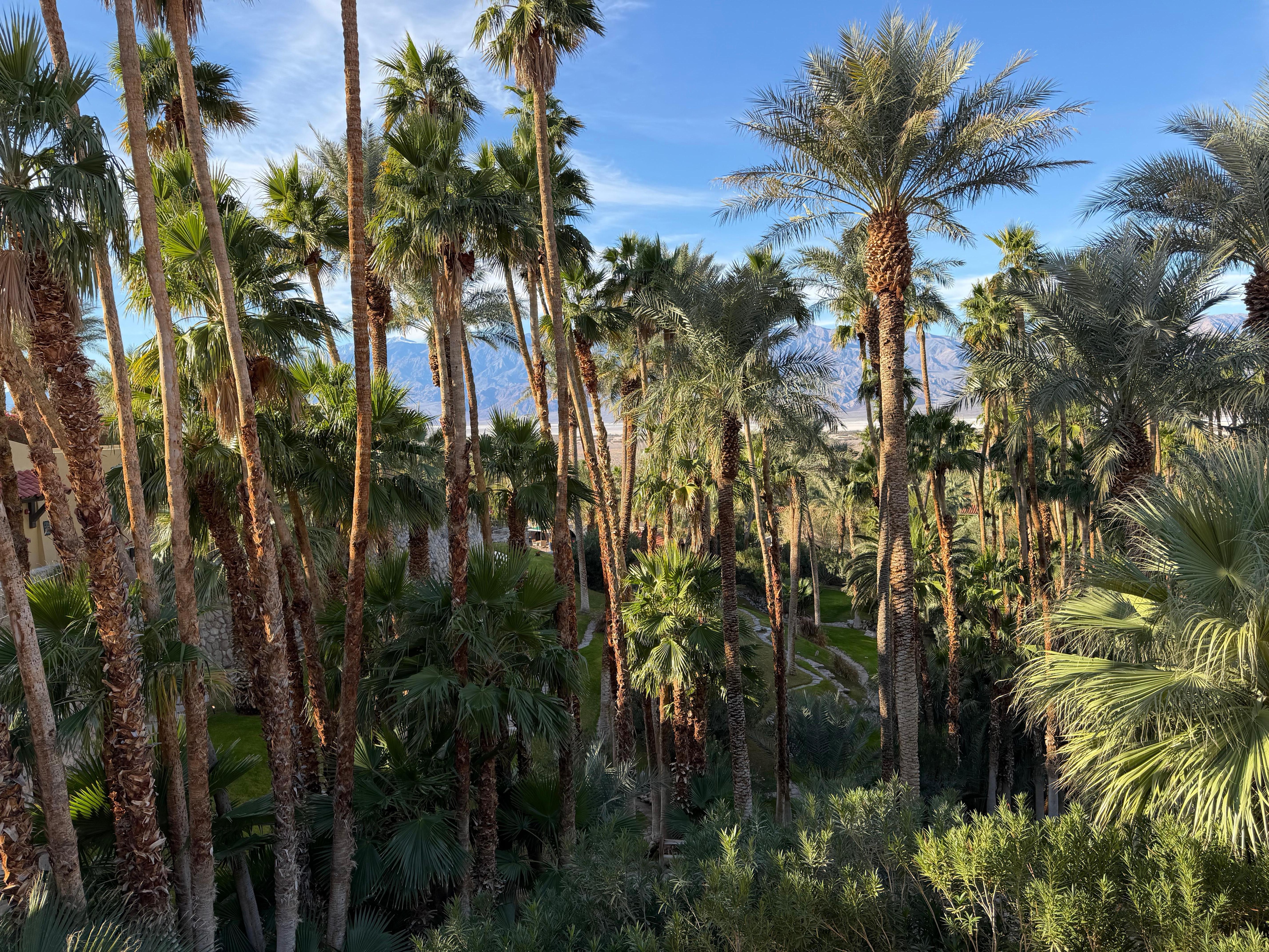 View from the room balcony