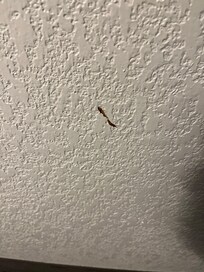 Wasn’t sure what this was.