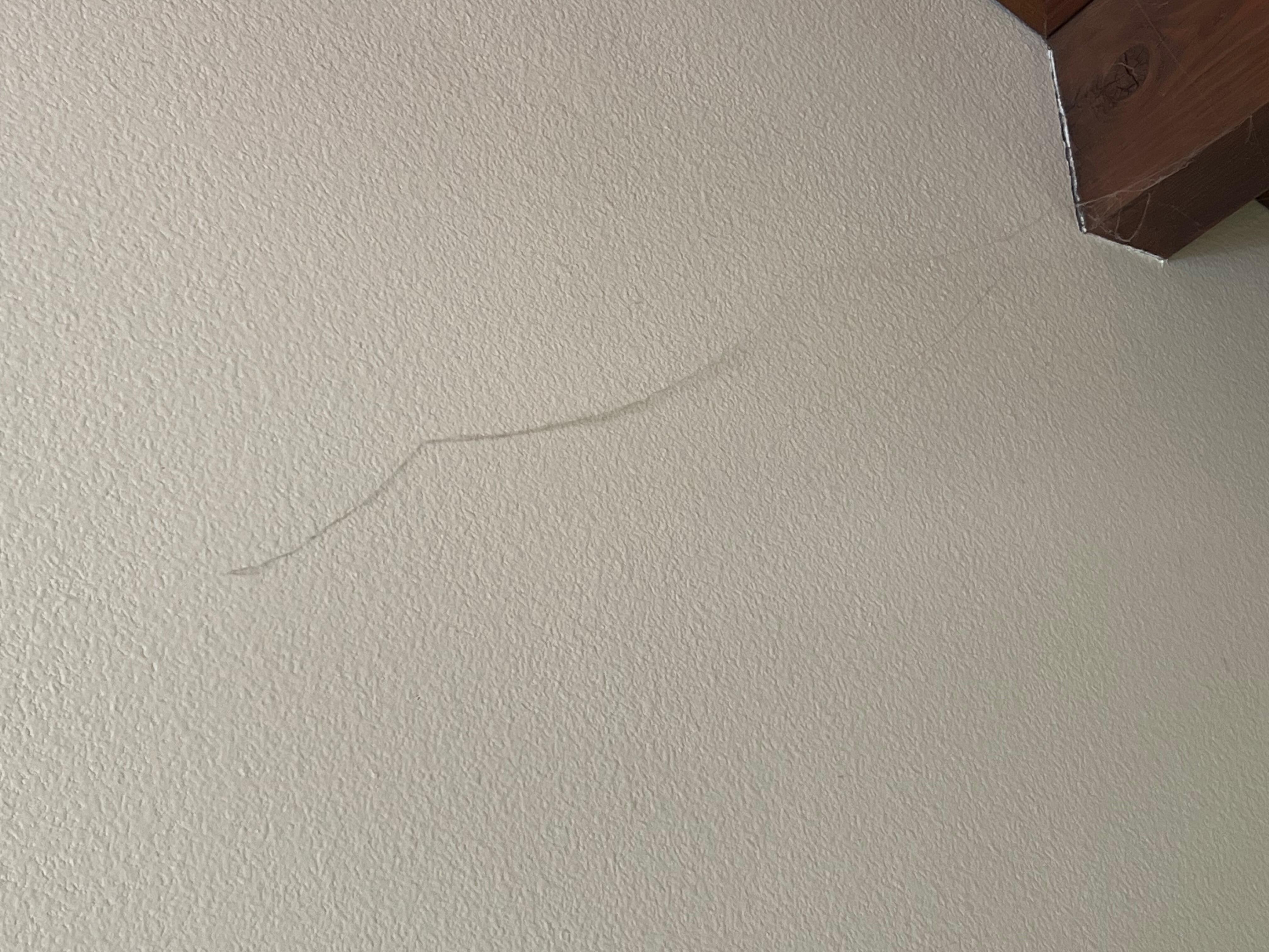 Cobwebs on walls
