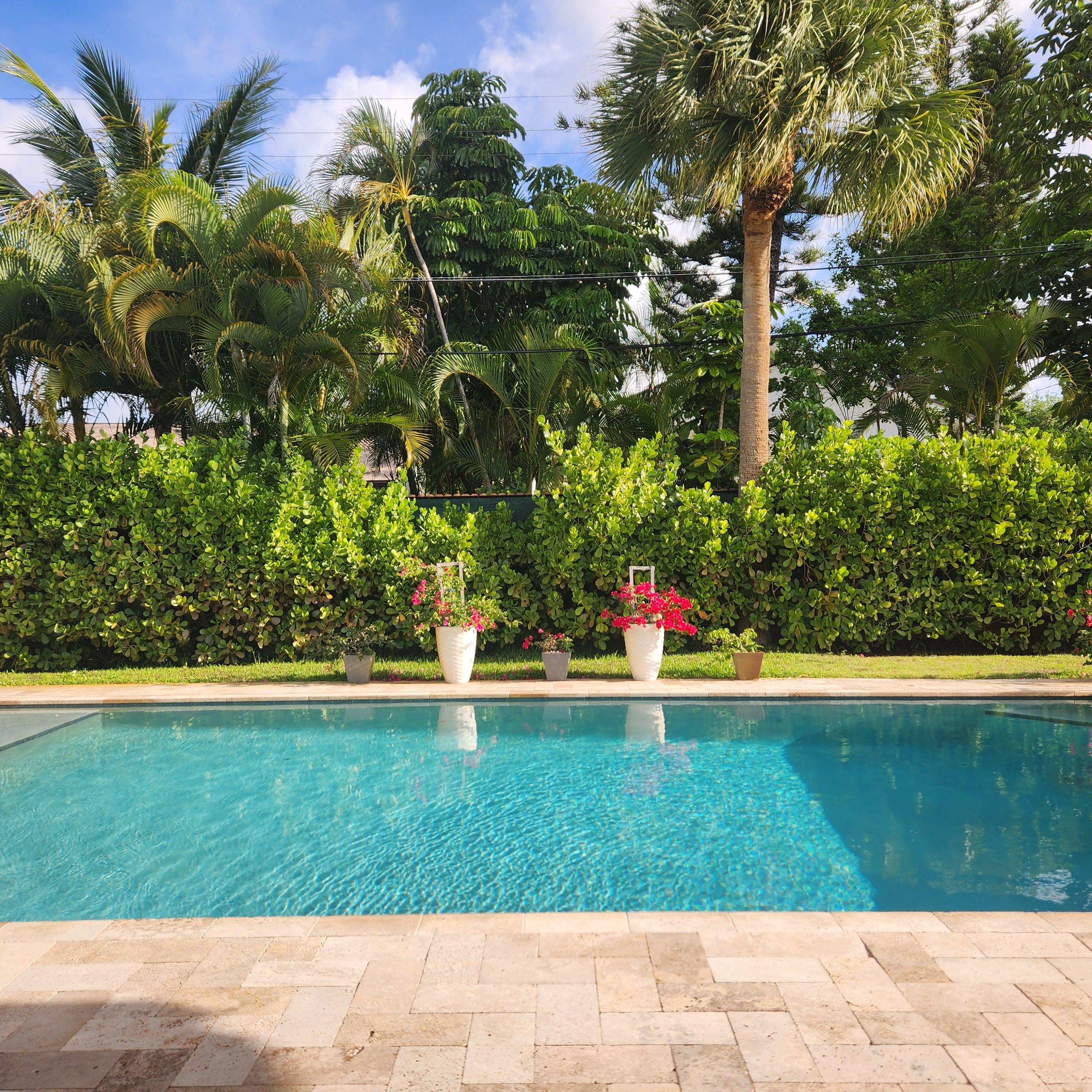 View of pool from outdoor dining area.