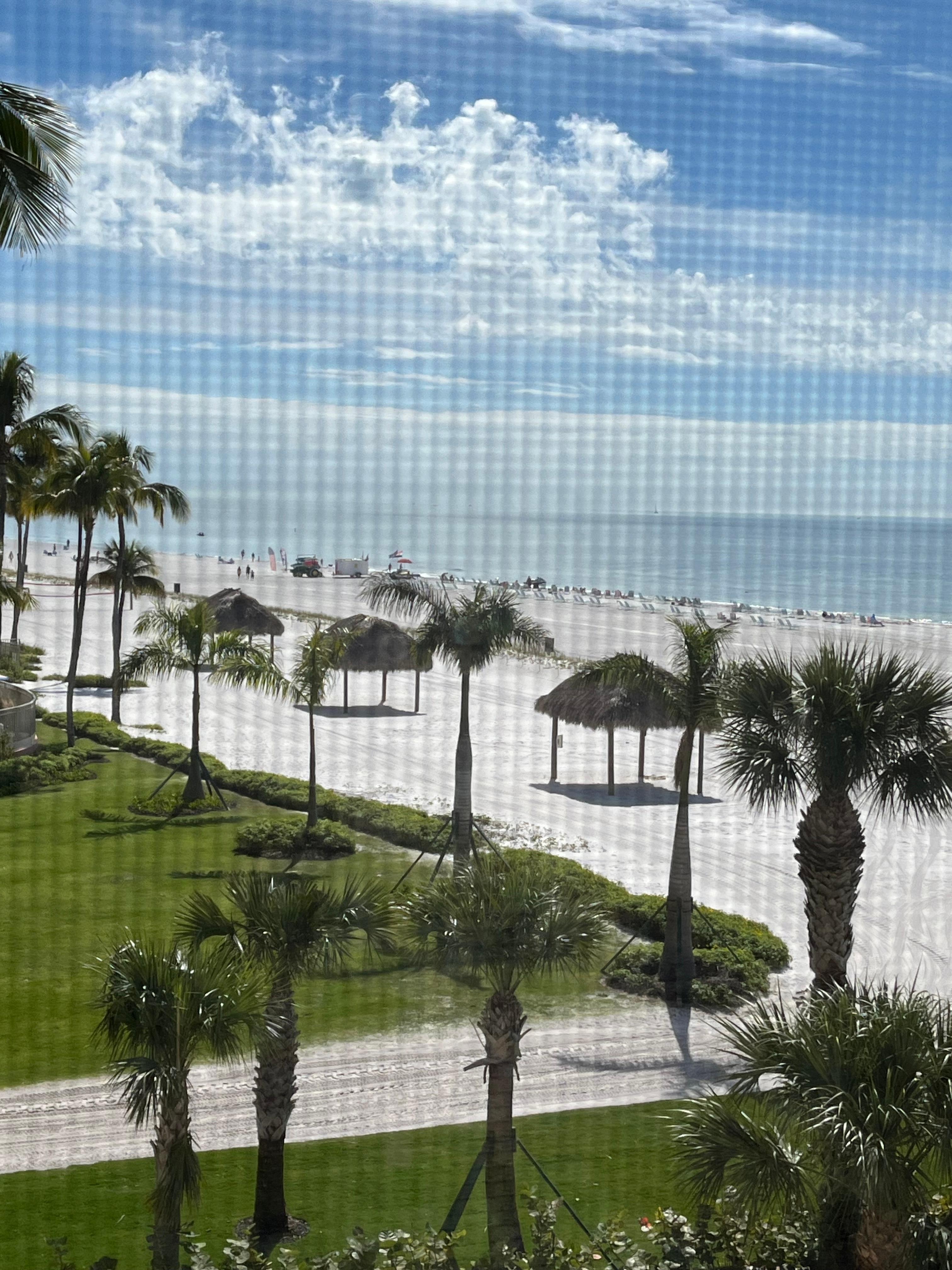 South view from porch