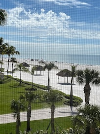 South view from porch