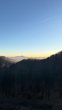 View from my bedroom