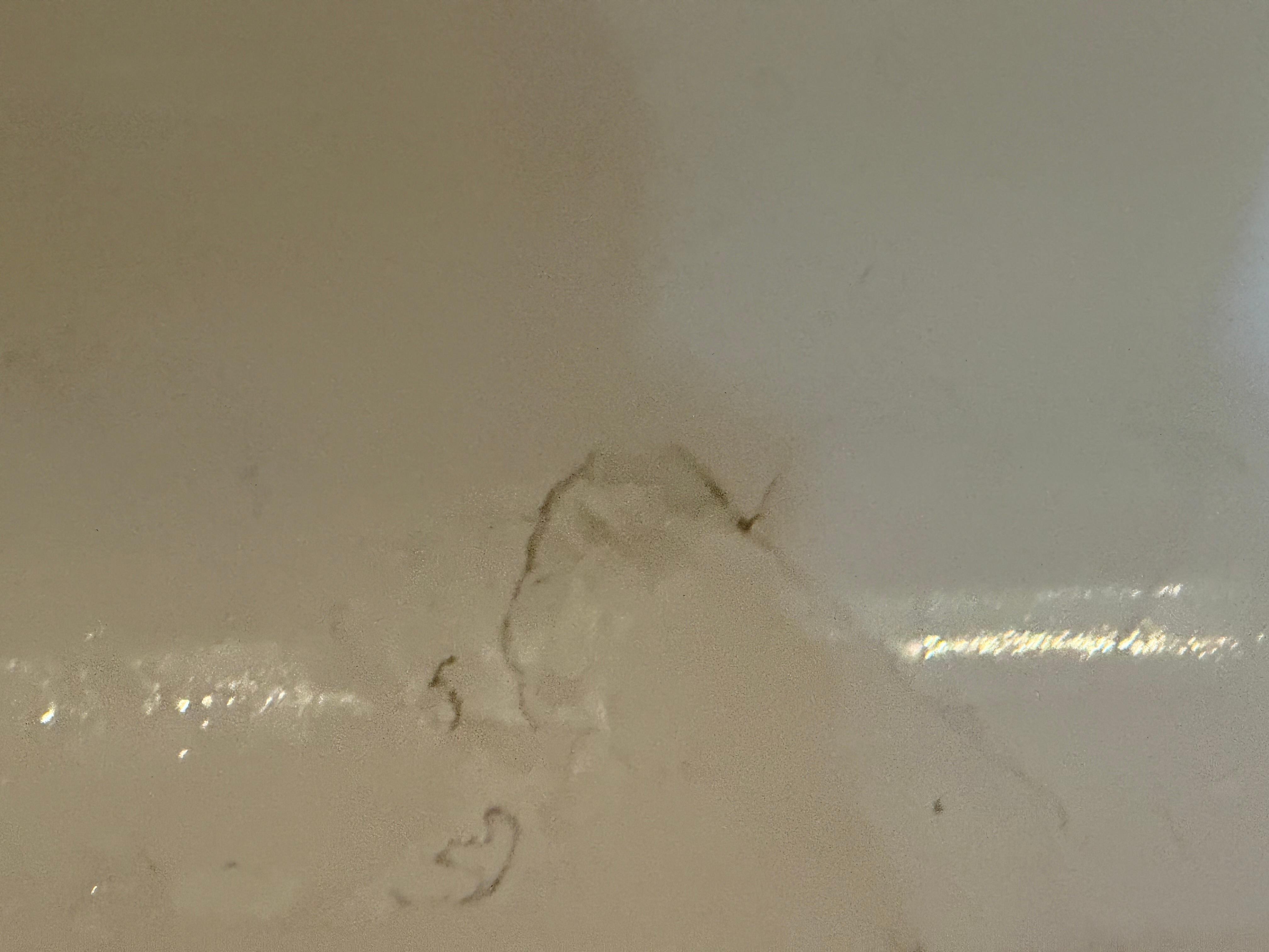 Not sure what this is. 