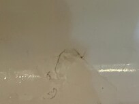 Not sure what this is.