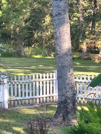 Wildlife