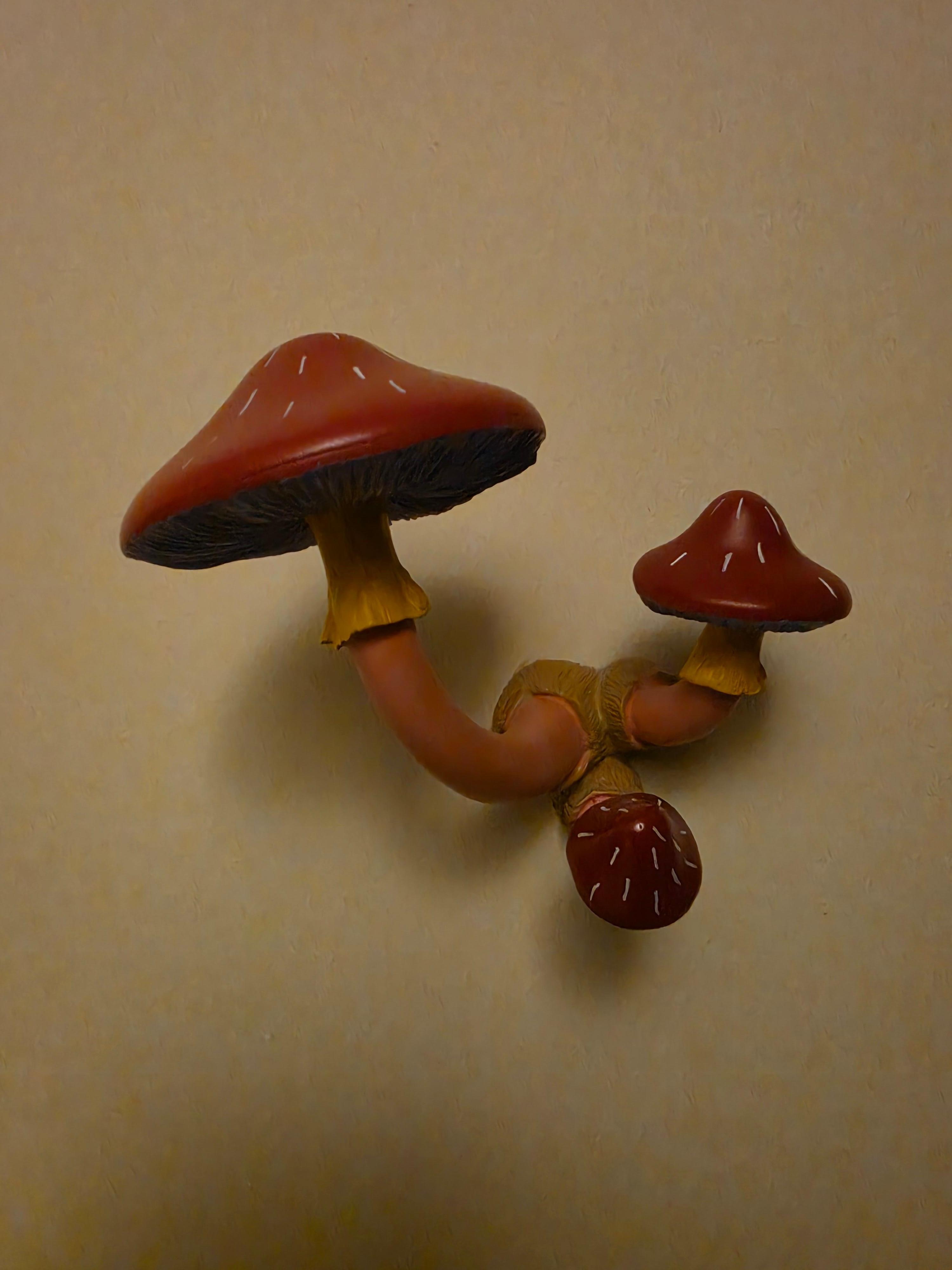 I know that mushrooms growing through the wall aren't usually a hood thing, but I loved this quirky feature and hung my necklaces on it during my stay 