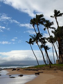 On the beach associated with the property