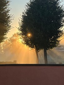 Morgens