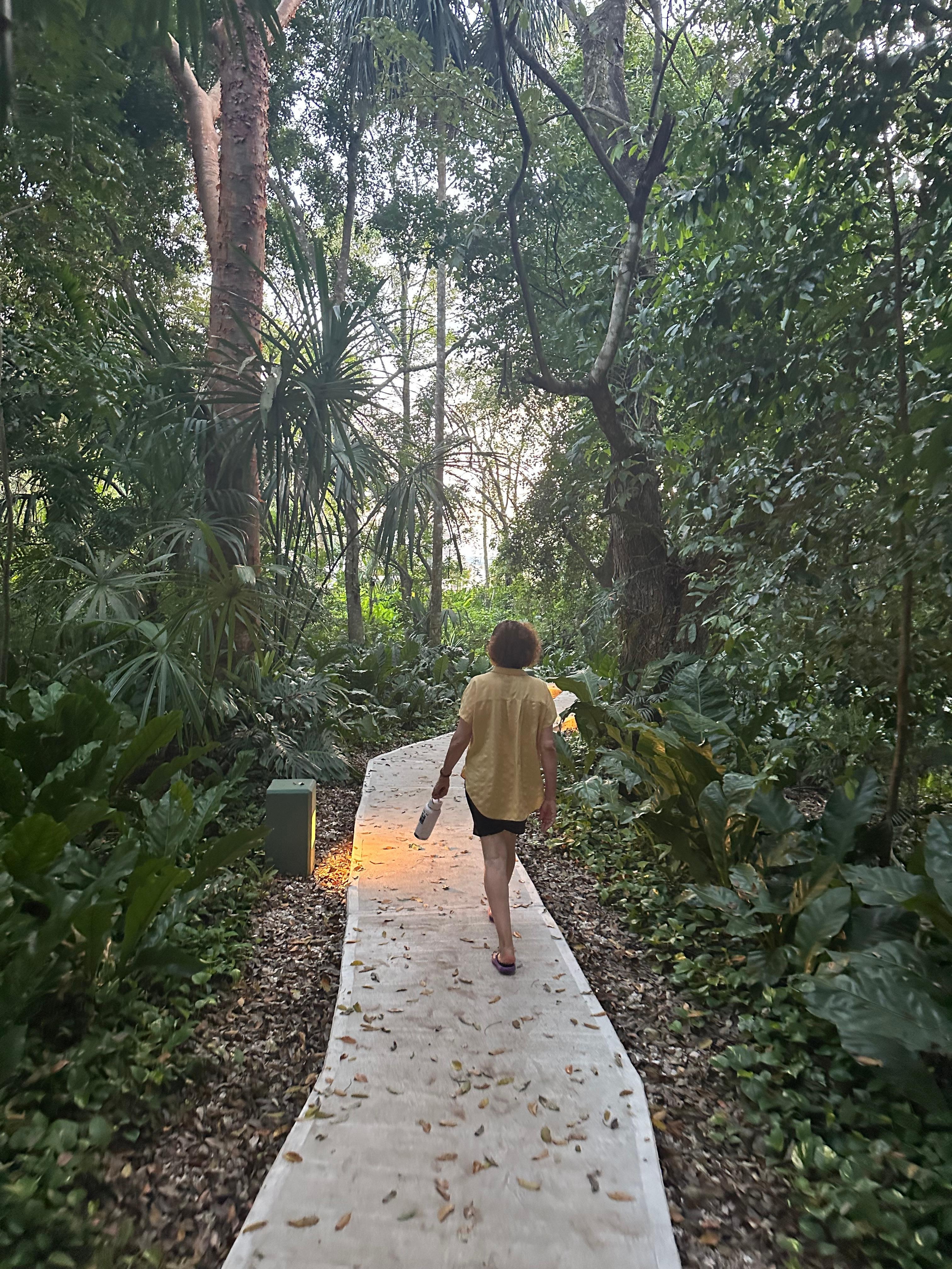 The walk way to the lake 