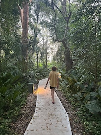 The walk way to the lake