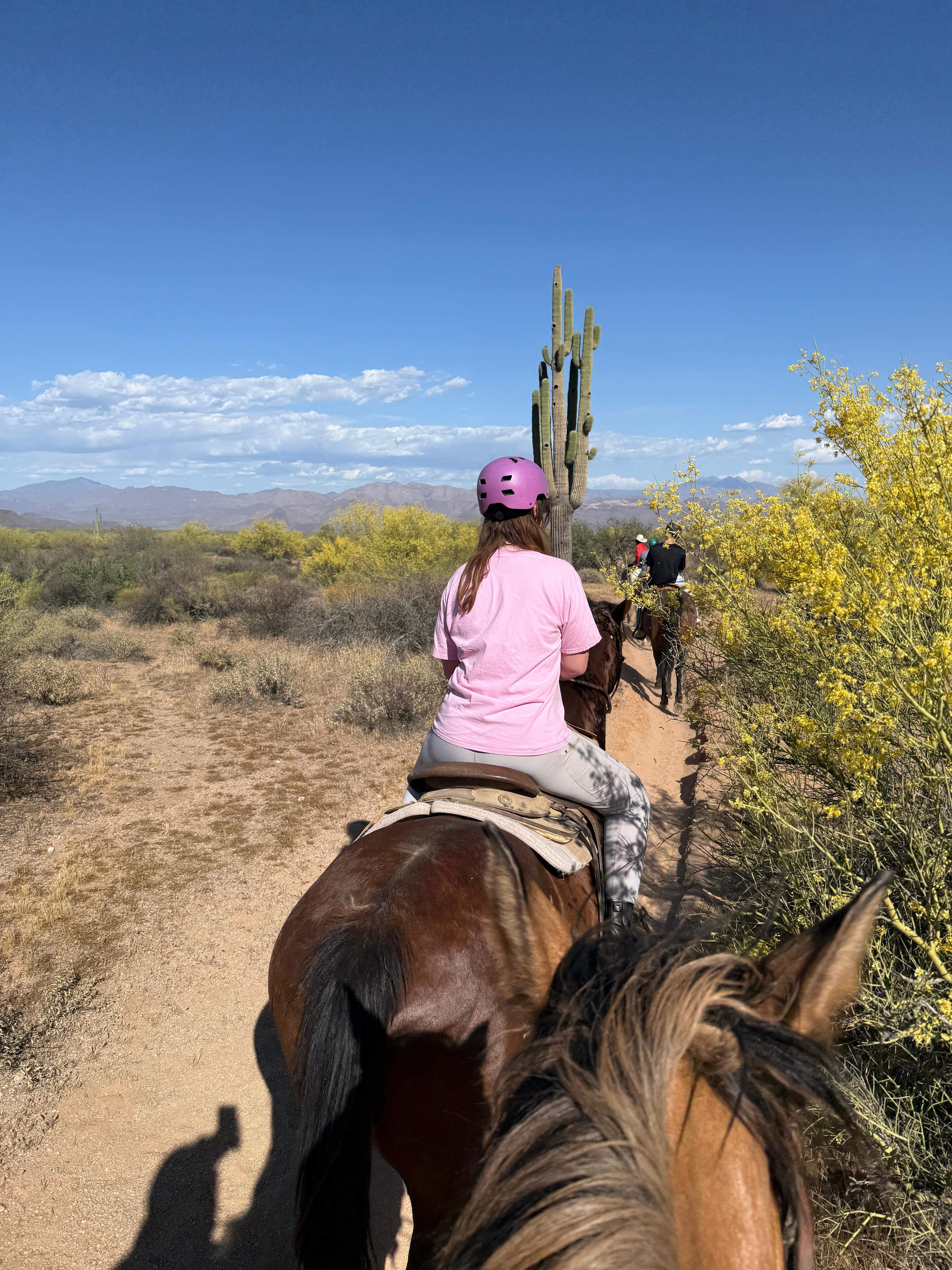Went horseback riding close by. 